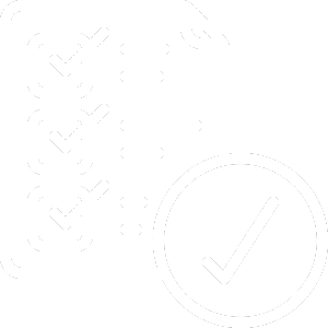 custom clearance service